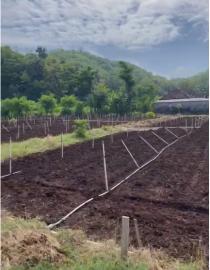 Pembersihan Lahan Krapyak Terus Berlanjut